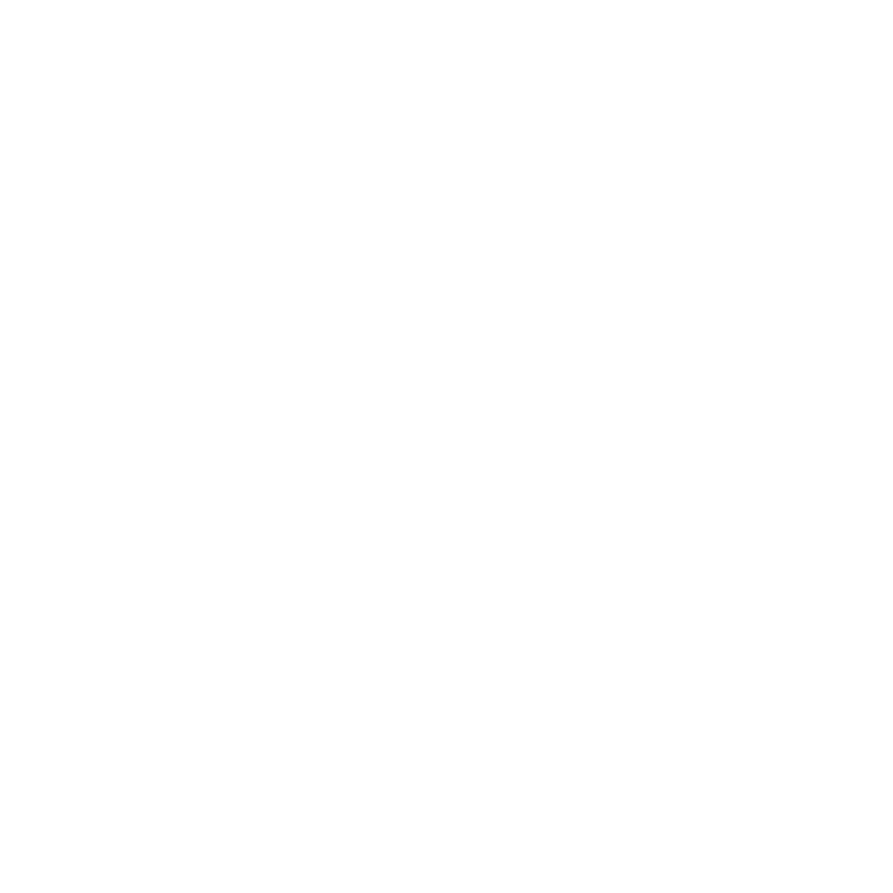 Logo SFM